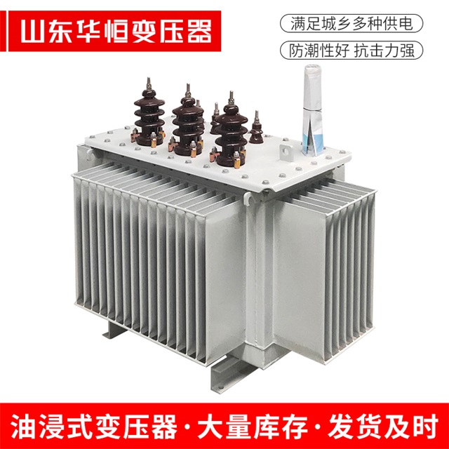 S13-10000/35兴庆兴庆兴庆油浸式变压器厂家